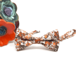Burnt Orange Bow tie